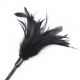 Black feather and leather tickle, ribbon and lace