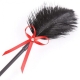 Tickle, black feather and leather, red ribbon