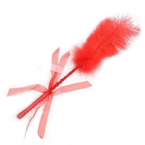 Red feather tickle, ribbon and leather